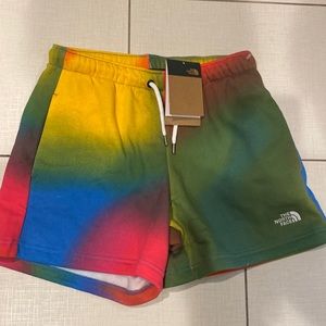 The north face shorts
